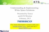 Understanding & Implementing White Space Solutions · Understanding & Implementing White Space Solutions Presented by Tessco and KTS Wireless . February, 2013 . ... KTS Wireless’