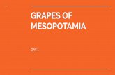 GRAPES OF MESOPOTAMIA · One group that conquered all of Mesopotamia were the Babylonians led by Hammurabi After creating his empire, Hammurabi created Hammurabi’s Code, the ﬁrst