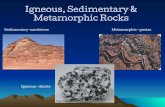 Igneous, Sedimentary & Metamorphic Rocks...•Mixture of minerals other organic matter 2. What makes a rock different from a mineral? Rock Both Mineral Made of one or more minerals