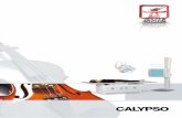 CALYPSO - ABTEBabteb.com/en/clinical_products/x-ray_system/digital_x-ray_system/data/calypso_dr...supplémentaires); bucky mural avec porte-capteur réglable en hauteur et basculant