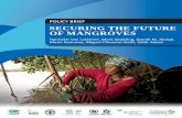 Securing the Future of Mangroves - ETH Z the future of mangroves... · This Policy Brief is based on: Spalding, M., Kainuma, M., and Collins, L. 2010. World Atlas of Mangroves. A