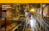 Safety and Occupational Health - Petra Diamonds · 2019-10-14 · Petra Diamonds Limited Sustainability Report 2013 Overview Responsible Business Safety and Occupational Health People