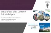 Spatial effects of EU Cohesion Policy in Bulgaria · Spatial effects of EU Cohesion Policy in Bulgaria ... •Despite its sustainability, the financial system still remains at risk;