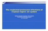 Kallesh Danappa Jayappa The neglected protozoan infections ... Danappa... · • No standard markers for PKDL prediction (Zijlstra et al.,2003) Leishmania diagnosis • CL: Skin smear