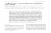 Genetic diversity in Tetrachaetum elegans , a mitosporic ... Genetic diversity in Tetrachaetum elegans,