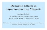 Dynamic Effects in Superconducting Magnets · Dynamic Effects in Superconducting Magnets Animesh Jain Brookhaven National Laboratory Upton, New York 11973-5000, USA US Particle Accelerator