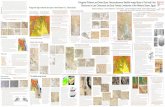 Polygonal Patterns and Desert Eyes: Reconnaissance ......Barbara Tewksbury 1, Simon Kattenhorn2, Claire Sayler1, Carolyn Tewksbury-Christle 3 & David Saint-Jacques4 1Hamilton College,