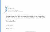 BioPhorum Technology Roadmapping · Communication of the needs, challenges and potential solutions to ... –that is the responsibility of the industry once the consensus on requirements