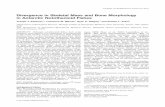 Divergence in Skeletal Mass and Bone Morphology in ... Eastman et al. 2014.pdf · Divergence in Skeletal Mass and Bone Morphology in Antarctic Notothenioid Fishes Joseph T. Eastman,1*