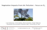 Vegetation Impacts from Air Pollution focus on O3 · l.emberson@york.ac.uk HTAP, Potsdam, Germany Feb 18-19 2016 Vegetation Impacts from Air Pollution – focus on O 3 Lisa Emberson,
