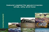 Natural capital for governments: what, why and how...approach on natural capital and the flow of services generated in physical and monetary terms to show the contribution of the environment
