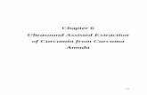 Chapter 6 Ultrasound Assisted Extraction of Curcumin from ... · also one of prominent disadvantage of conventional extraction processes [14]. Stringent rules related to the use of