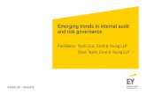 Emerging trends in internal audit and risk governancefile/emerging... · Perspectives on internal audit trends . IA is evolving with increasing business complexity and challenges