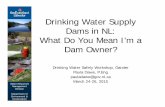Drinking Water Supply Dams in NL: What Do You Mean I’m a ... · Dam Crest Downstream Face Upstream Face Toe Foundation Freeboard Tailwater Headwater. Characteristics of NL Water