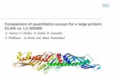 Comparison of quantitative assays for a large protein: ELISA vs. LC-MS/MS A. Guenzi, G ... · 2018-06-08 · Starting point for LC-MS assay: Proteomics qualitative procedure 12 100