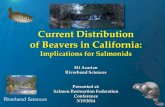 Current Distribution of Beavers in CaliforniaCurrent Distribution of Beavers in California: Implications for Salmonids Eli Asarian Riverbend Sciences ... Beaver Pond on W.F. McGarvey