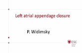 Left atrial appendage closure - escardio.org · Annual rates: stroke 0.9%, major bleeding 0.9%, all-cause mortality 1.8%. Anticoagulant therapy was successfully stopped in 91% of