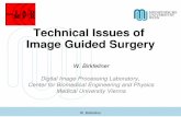 Technical Issues of Image Guided Surgery · Implant insertion after ... Research directions for Computer Aided Surgery ... W. Birkfellner. W. Birkfellner Acknowledgments Dept. of