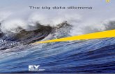 EY - The big data dilemma · Big data is a big deal for the world’s P&U companies. Utilities are grappling with much bigger data volumes along the entire value chain because of