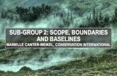 SUB-GROUP 2: SCOPE, BOUNDARIES AND BASELINES 2...addressing issues such as scope 1, 2 and 3 impacts, area of influence, baseline and cumulative impacts •Identify common ground in