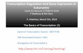 Transcrip)on+Regula)on+And+Gene+Expression+in+ Eukaryotes+ · BRE TATA box Initiator DPE -32 -26 +1 +31 The core promoters in more detail TAF II250 TAF II150 TAF II60 TAF II40 TBP