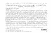 Reproduction of Gerres cinereus (Percoidei: Gerreidae) off ... · Rev. Mar. Cost. ISSN 1659-455X. Vol. 7: 83-98, Diciembre 2015. 85 Reroduction of Gerres cinereus (Percoidei: Gerreidae)