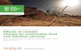 Effects of climate change on sustainable food and …...many different cultures are cultivated, such as tea, cow pea, sorghum, potatoes, pigeon pea, wheat and coffee (FAO Country Stat