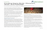 FARMING Feeding Game Birds: Pheasant, Quail, and Partridge · 2019-06-26 · Feeding Game Birds: Pheasant, Quail, and Partridge FARMING The nutrient requirements of game birds vary
