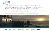 An Ecosystem Approach to Management of Seamounts in the … · 2013-09-12 · An Ecosystem Approach to Management of Seamounts in the Southern Indian Ocean Volume 4 –A Road Map