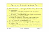 Exchange Rates in the Long Run - New York Universitypeople.stern.nyu.edu/rlevich/f1999/Chap-18(1).pdfPurchasing Power Parity (PPP) [2 of 2] F Law of One Price is very often violated