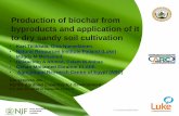Production of biochar from byproducts and application of ... · • Magdy M Mohamed, • Deiaaeldin A Ahmed, Eslam M Abbas • Gehan Mohamed Ebrahim ELAfifi • Agricultural Research