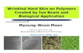 Wrinkled Hard Skin on Polymers Created by Ion Beam and Biological Application Myoung ... · 2014-11-11 · Wrinkled Hard Skin on Polymers Created by Ion Beam and Biological Application