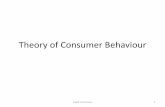 Theory of Consumer Behaviourpsa2.kuciv.kyoto-u.ac.jp/lab/images/stories/kougi/public...Consumer Behaviour •Feature of Consumer Behaviour •Consumption set (Budget constraint) •Preference