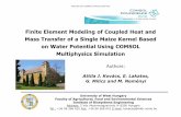 Finite Element Modeling of Coupled Heat and Mass Transfer ... Finite Element Modeling of Coupled Heat and Mass Transfer of aMass Transfer of aSingle Maize Kernel Based Single Maize