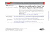 The Protein Moiety of Brucella abortus Outer Membrane Protein … · 2017-06-09 · The Journal of Immunology The Protein Moiety of Brucella abortus Outer Membrane Protein 16 Is a