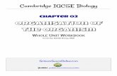 Cambridge IGCSE Biology - sciencesauceonline.comsciencesauceonline.com/wp-content/uploads/CIE-IGCSE-Bio-Chapter02.pdf · (Note: Nanometres are commonly used in biology for really