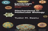 Mechanisms in Molecular Biology · 1 Mechanisms and Their Discovery 1.1 Mechanisms and Mechanistic Explanations Many explanations in biology tell us how phenomena are produced as