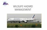 WILDLIFE HAZARD MANAGEMENT Wildlife... · The first step in a Risk Assessment of Wildlife Hazards is to define the area that will be assessed. This generally includes the entire aerodrome.