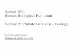 Anthro 101: Human Biological Evolution Lecture 9: Primate ...feldmekj.weebly.com/.../sp13_an101_lecture_9_-_primate_behavior_-_use.pdf · Human Biological Evolution Lecture 9: Primate