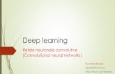 Retele neuronale convolutive (Convolutional neural networks)inf.ucv.ro/documents/rstoean/8. DL.pdf · 2019-04-22 · Retele neuronale convolutive –Convolutional Neural Networks
