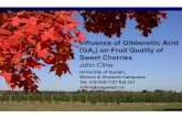 Influence of Gibberellic Acid (GA3) on Fruit Quality of ...Orchard and Vineyard Show, Traverse City, MI –Jan 21-22, 2009 1 Influence of Gibberellic Acid (GA3) on Fruit Quality of