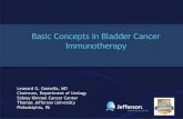 Basic Concepts in Bladder Cancer Immunotherapygrandroundsinurology.com/wp-content/uploads/2017/08/345...Intravesical BCG Immunotherapy BCG Bladder cancer cells CD8+ T cell DC HLA class