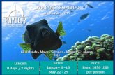 LOMBOK - KOMODO · entrance to national parks (, dive courses, video from the trip, alcohol beverages. BOOKING TERMS: • Sign agreement & terms of participation • 30% deposit payment