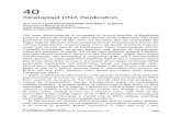 Chapter 40: Kinetoplast DNA Replication (PDF)dnareplication.cshl.edu/content/free/chapters/40_torri.pdf · 2008-06-25 · 40 Kinetoplast DNA Replication Al F. Torri, Laura Rocco Carpenter,