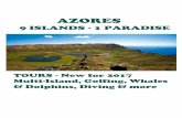 2 Tour Operator - Melo Confidential Tariffs@Azores 2016 ... · AZORES 9 ISLANDS - 1 PARADISE TOURS - New for 2017 Multi-Island, Golfing, Whales & Dolphins, Diving & more