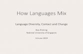 How Languages Mix · Pre-modification is found in Chinese, not in Singapore English and English. Emphasis is found in Chinese and Singapore English, not in English. Function Three