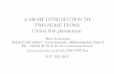 A SHORT INTRODUCTION TO TWO-PHASE FLOWSherve.lemonnier.sci.free.fr/TPF/NE/06-Slides.pdf · A SHORT INTRODUCTION TO TWO-PHASE FLOWS Critical ow phenomenon Herv e Lemonnier DM2S/STMF/LIEFT,