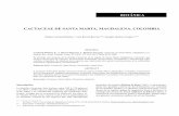 CACTACEAE DE SANTA MARTA, MAGDALENA, COLOMBIA · carbonó-delahoz e., a.barros-barraza, j.jiménez-vergara - cactaceae de santa marta, magdalena, colombia 177 Introdución La familia