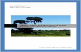 Climate Change and Agriculture in Babati Awareness Strategies …227516/FULLTEXT01.pdf · 2009-07-14 · Climate Change and Agriculture in Babati Awareness Strategies Constrains.
