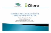 certified sustainable palm oil supply chain programs 2016 and Tech 2015 Docs/PHO ALternatives...McDonald’s, PepsiCo, P&G, Kellogg's, MARS Inc. ... processing, refining and manufacturing